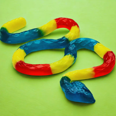 Gaint Snake